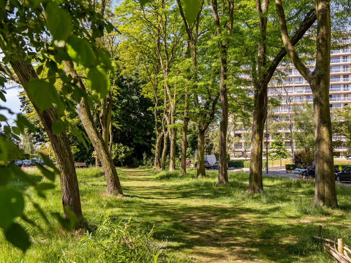 DCA_Berchem_Roderveld_Omgeving 3